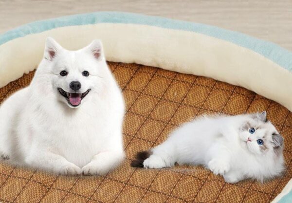 CAMA PARA GATO TALLA M