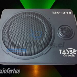 Subwoofer 10 Pulgadas 2000W Rectagular TASBEL TA-VT10